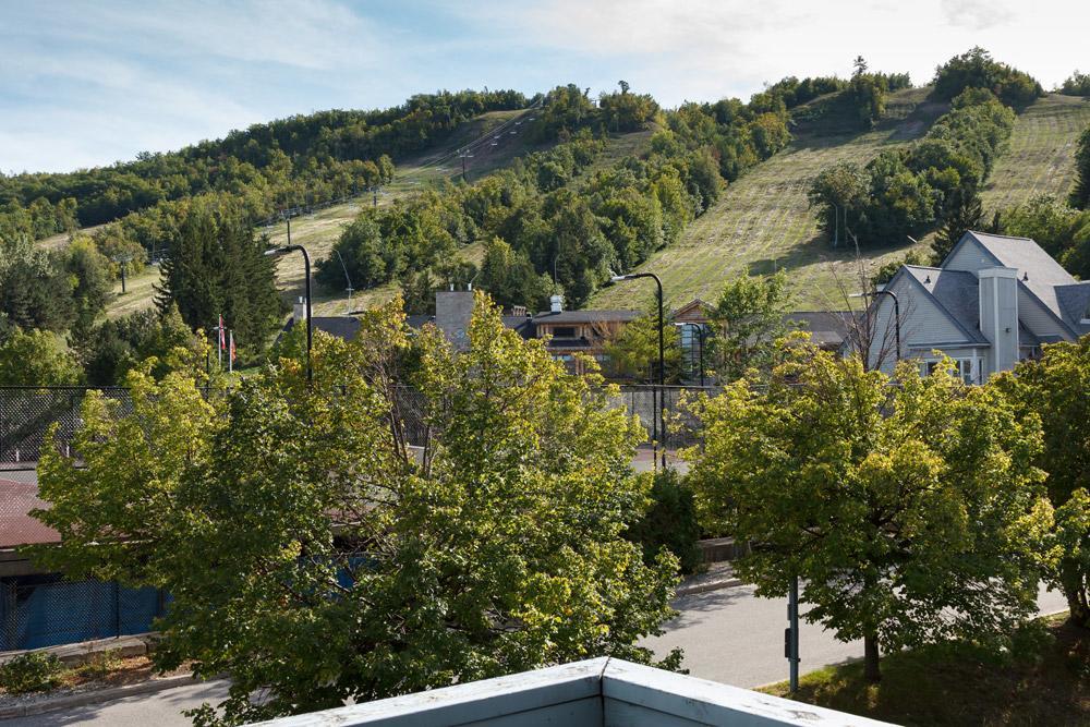 Condo Loft At Blue Mountain Blue Mountains Buitenkant foto